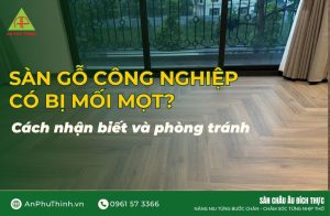 Sàn gỗ công nghiệp có bị mối mọt