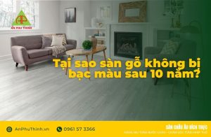 Tại sao sàn gỗ không bị bạc màu sau 10 năm?