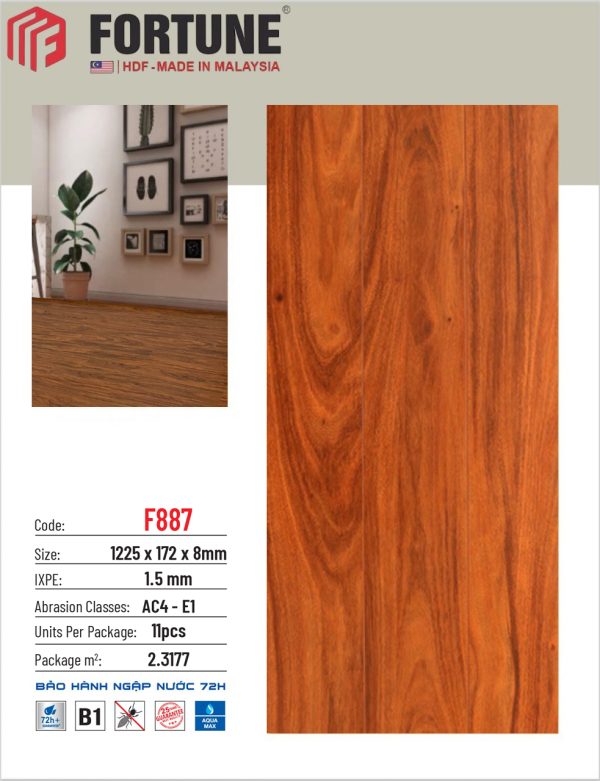 Sàn gỗ Fortune F887