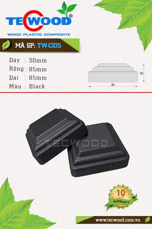 Sàn gỗ ngoài trời Tecwood TW-CI05 Black