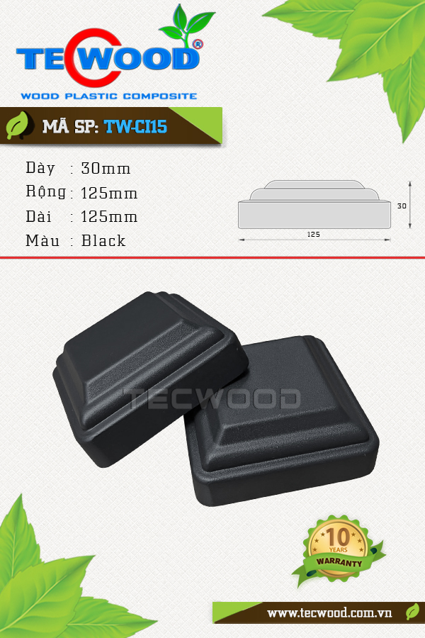 Sàn gỗ ngoài trời Tecwood TW-CI15 (125) Black
