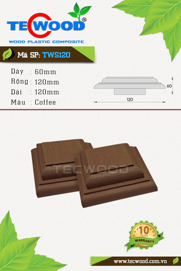 Phụ kiện TWS120 Coffee